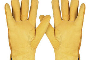 găng tay bảo hộ lao động gồm bao nhiêu loại phổ biến